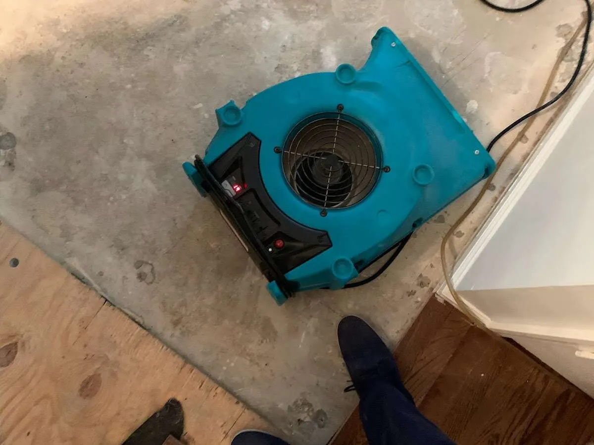 Air mover drying subfloor during Leak Detection & Repair in Eastchester